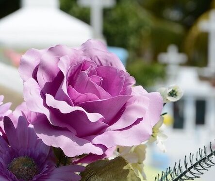 Blume - Hintergrund Friedhof